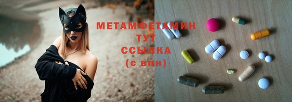 индика Аркадак