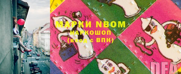 индика Аркадак