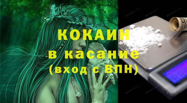 индика Аркадак