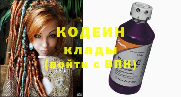 индика Аркадак