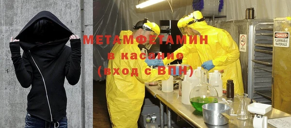 индика Аркадак