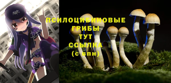 индика Аркадак