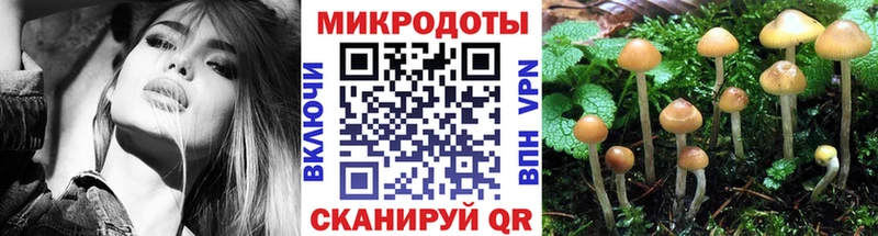 Псилоцибиновые грибы прущие грибы  Похвистнево 